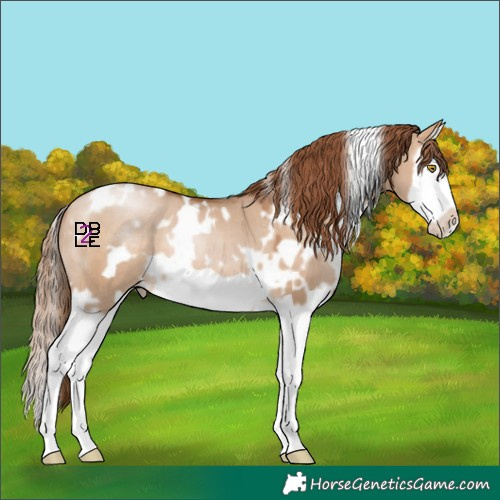 Horse Color:White Spotted Brown Pearl Dun Splash Frame 