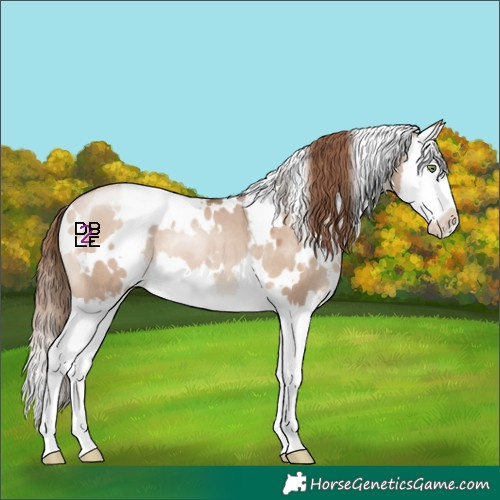 Horse Color:White Spotted Brown Pearl Dun Mushroom Splash