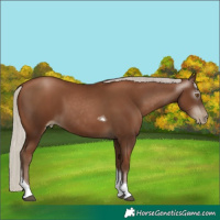 Horse Color:Gray Silver Black Pearl Tobiano