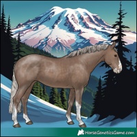 Horse Color:Silver Black Splash Tobiano