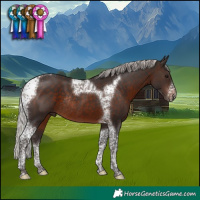 Horse Color:Silver Brown Tobiano Frame Rabicano 