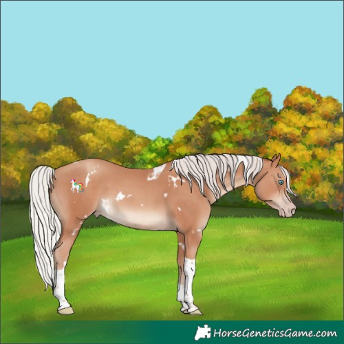 Horse Color:White Spotted Silver Classic Champagne Tobiano 