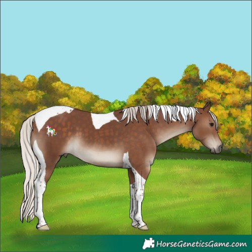 Horse Color:Silver Black Tobiano 