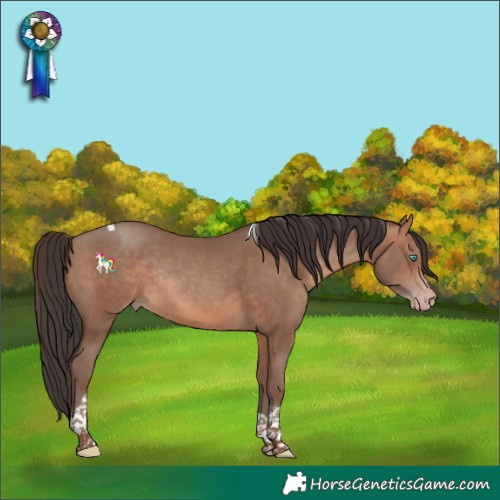 Horse Color:Sable Champagne Tobiano Rabicano