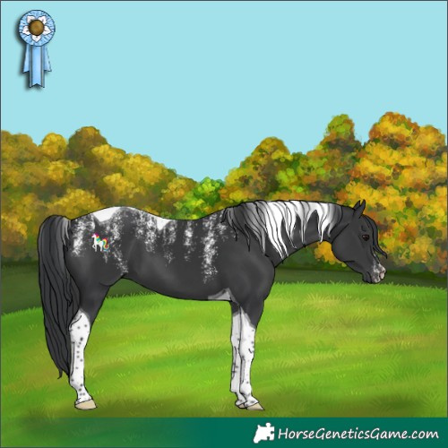 Horse Color:Powder White Black Tobiano