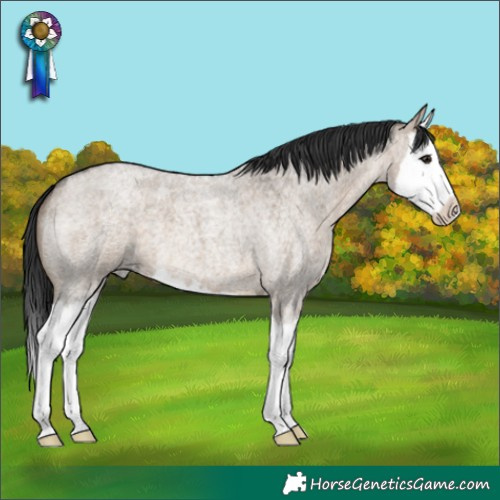 Horse Color:Brown Roan Dun Splash