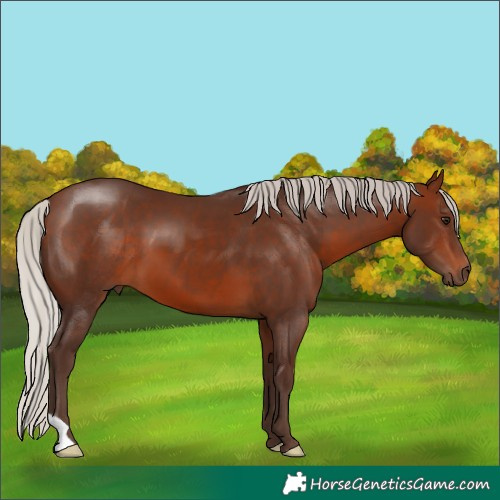 Horse Color:Silver Brown