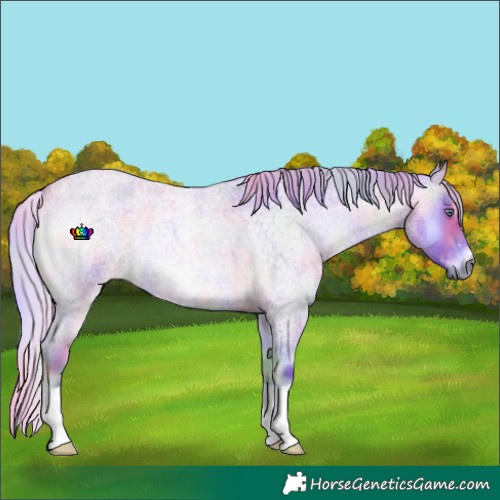 Horse Color:Nacre Watercolor Silver Bay Chinchilla Roan Onyx 