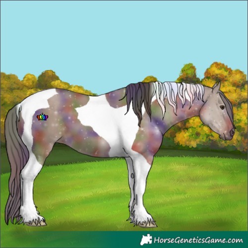 Horse Color:Nacre Liver Red Dun Tobiano