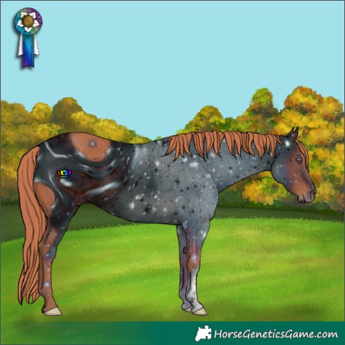 Horse Color:ERROR: UNKNOWN ANOMALY