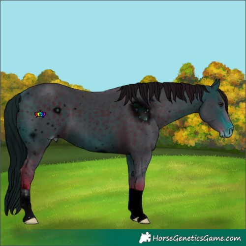 Horse Color:ERROR: UNKNOWN ANOMALY