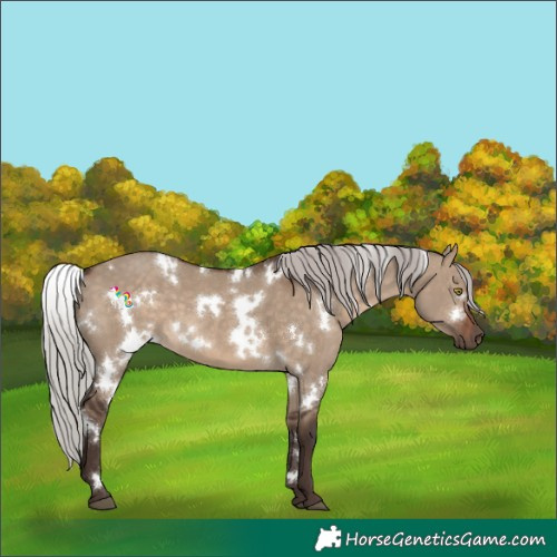 Horse Color:White Spotted Silver Brown Dun 