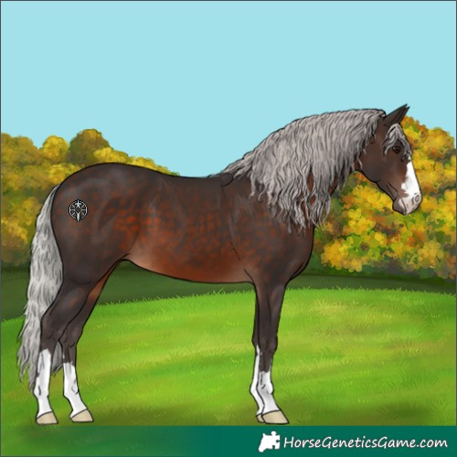Horse Color:Silver Brown 