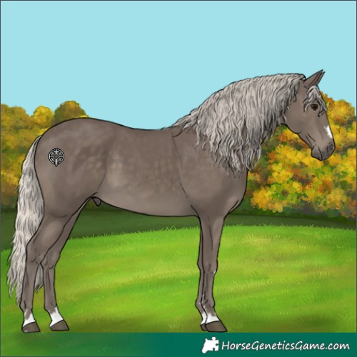 Horse Color:Silver Smoky Black