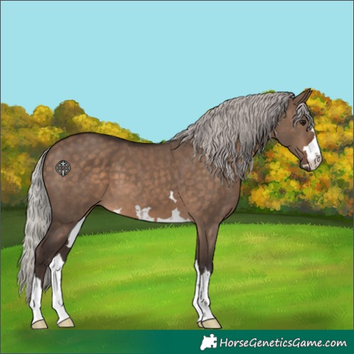 Horse Color:Silver Brown Dun