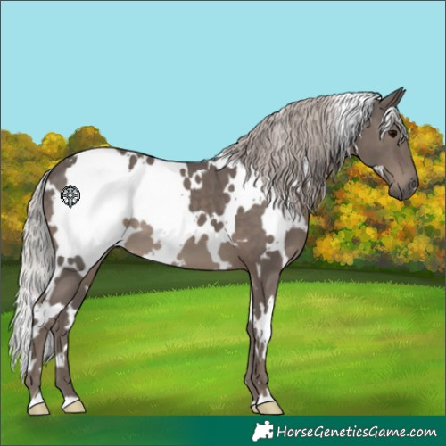 Horse Color:White Spotted Silver Black 