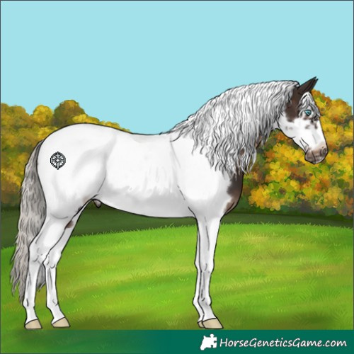 Horse Color:Silver Brown Tobiano Frame
