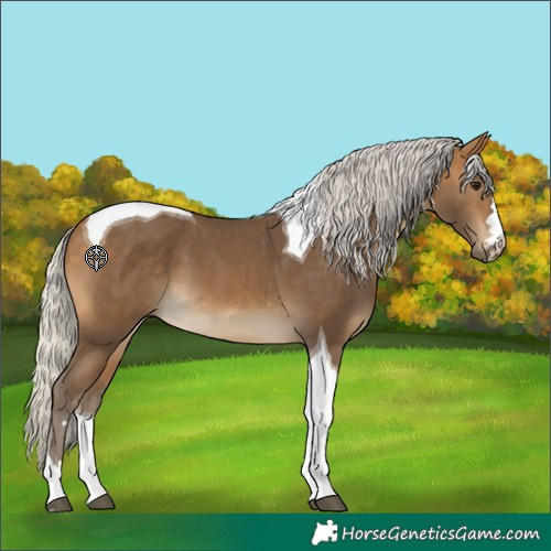 Horse Color:Silver Buckskin Tobiano
