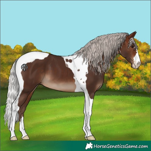Horse Color:Silver Brown Tobiano