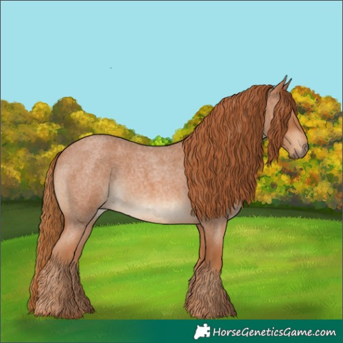 Horse Color:Red Roan 