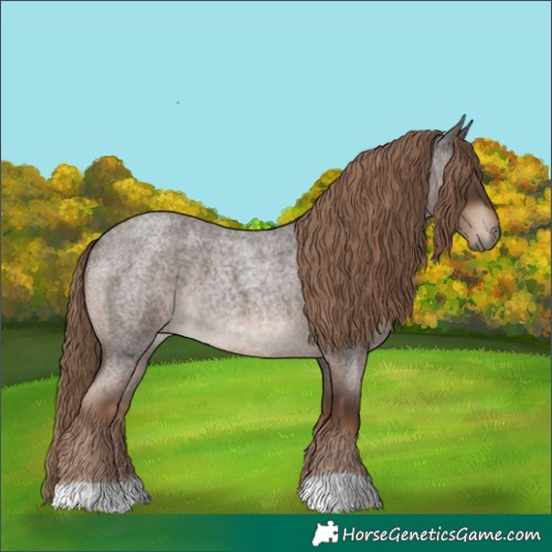 Horse Color:Liver Red Roan 