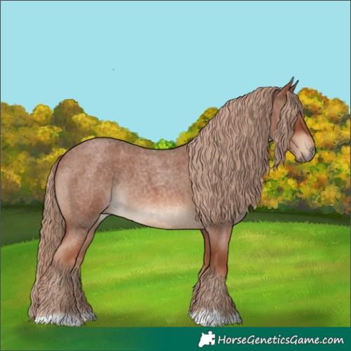 Horse Color:Red Roan