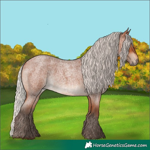 Horse Color:Silver Bay Roan 