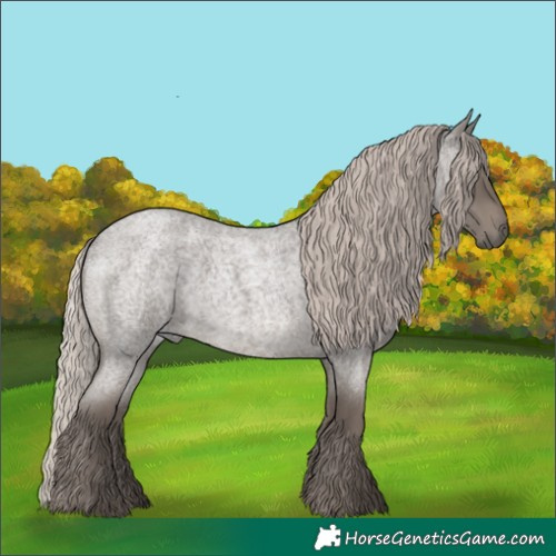 Horse Color:Silver Blue Roan