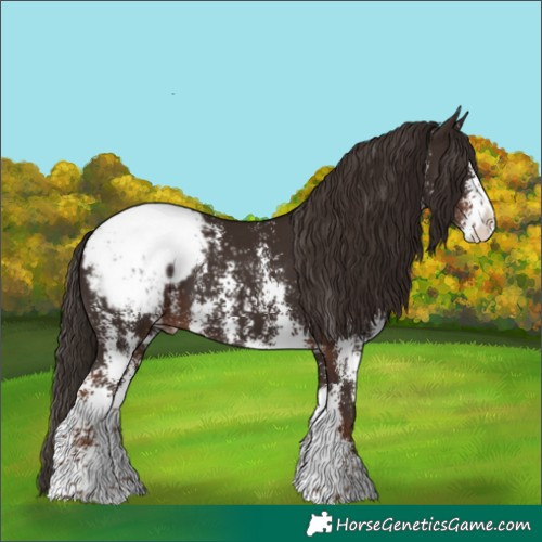 Horse Color:Liver Chestnut Sabino Splash Snowcap