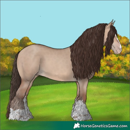 Horse Color:Sable Champagne Dun