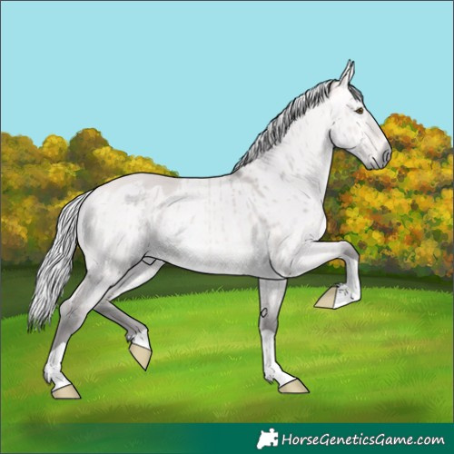 Horse Color:Platinum Silver Buckskin Dun Rabicano Brindle 