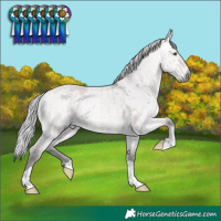 Horse Color:Platinum Silver Buckskin Dun Rabicano Brindle 