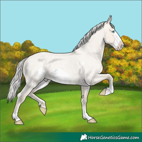 Horse Color:Silver Smoky Creme Roan Dun Frame