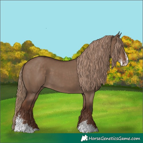 Horse Color:Liver Red Dun Sabino
