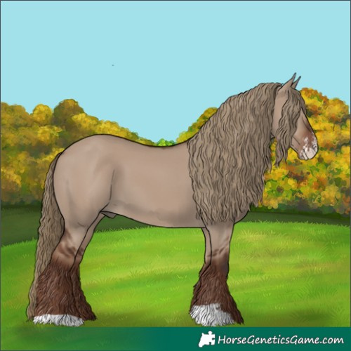 Horse Color:Liver Red Dun Sabino