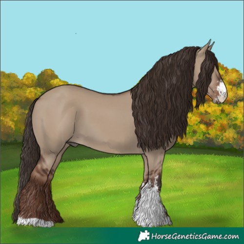 Horse Color:Liver Red Dun Sabino 