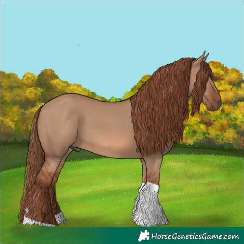 Horse Color:Red Dun Tobiano