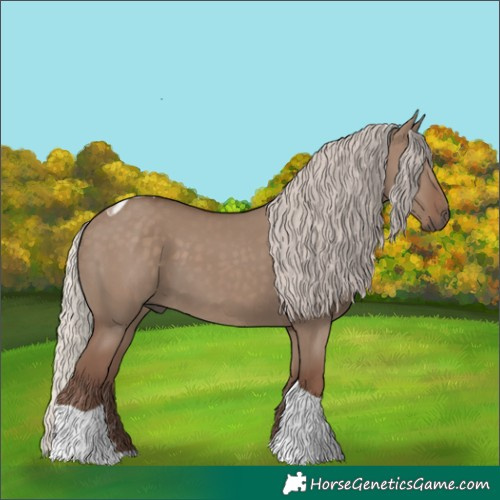 Horse Color:Silver Grullo Tobiano 