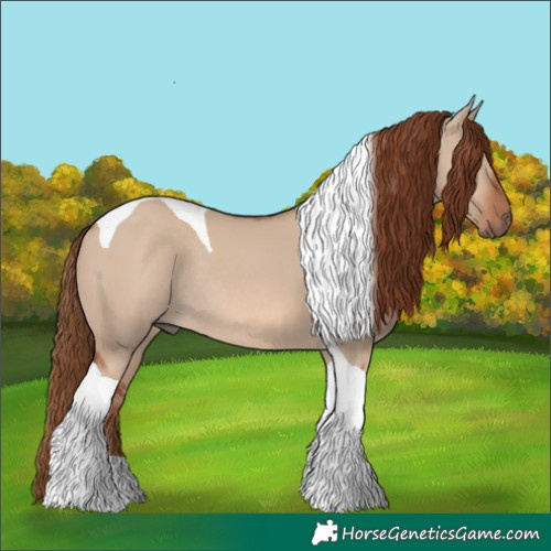 Horse Color:Red Dun Tobiano Rabicano 