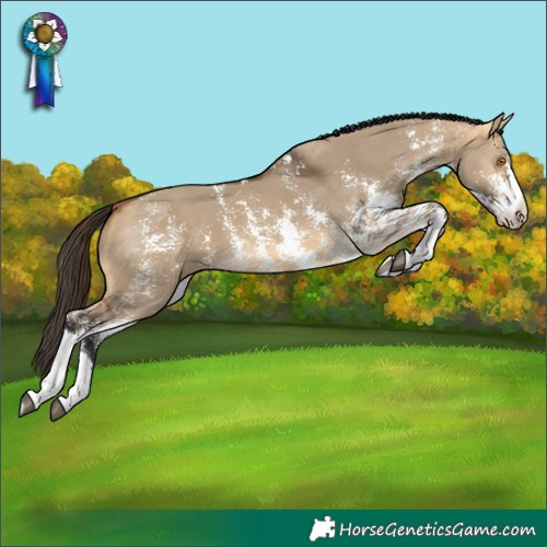 Horse Color:Buckskin Dun Sabino 