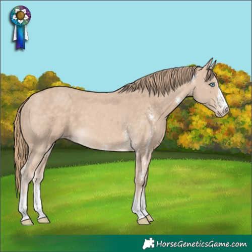 Horse Color:Perlino Sabino 