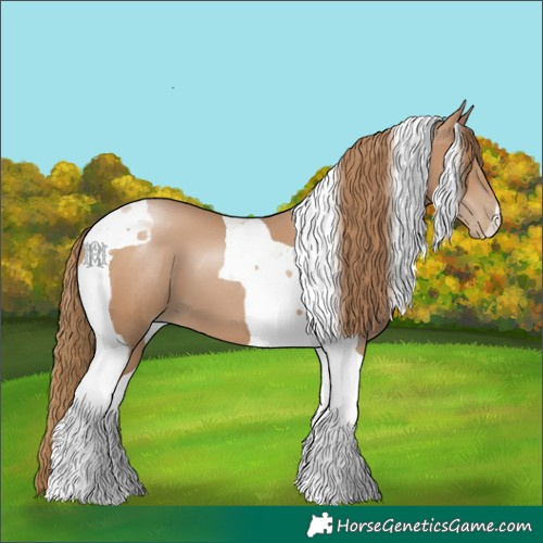 Horse Color:Black Pearl Tobiano 