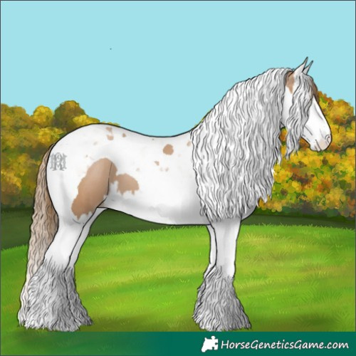 Horse Color:Black Pearl Splash Tobiano 