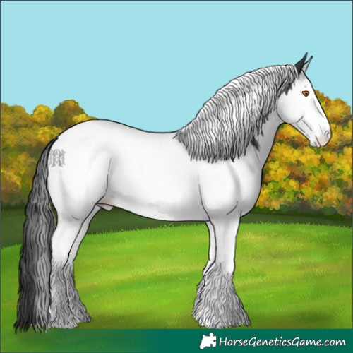 Horse Color:Black Splash Tobiano 