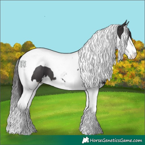 Horse Color:Smoky Black Splash Tobiano