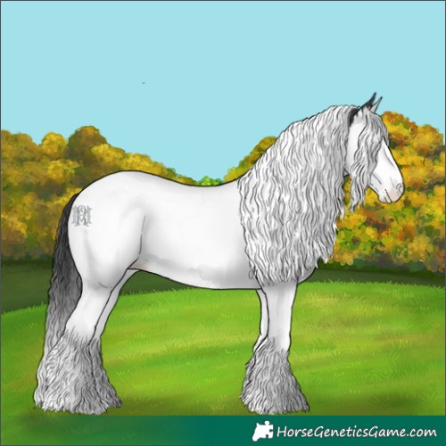 Horse Color:Black Splash Tobiano