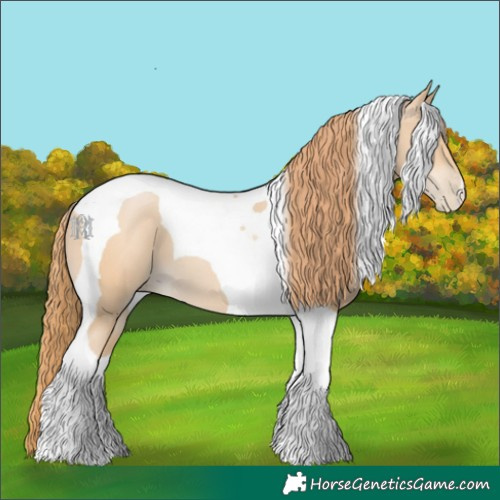 Horse Color:Smoky Black Pearl Tobiano
