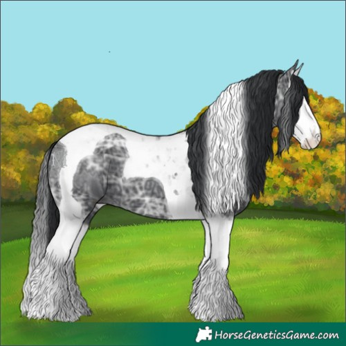 Horse Color:Black Ice Splash Tobiano 