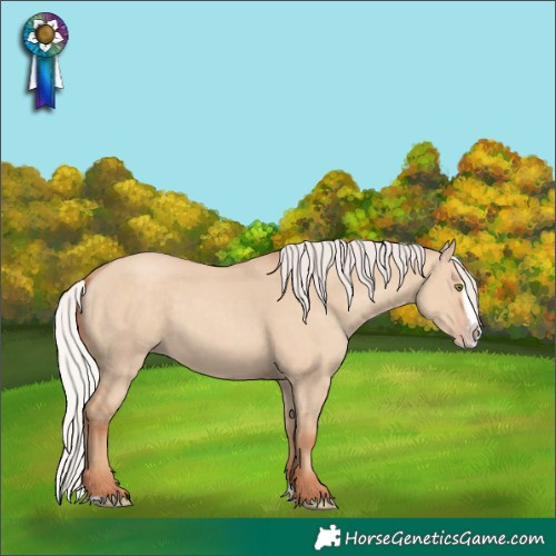 Horse Color:Silver Classic Champagne Dun Splash Frame  and Silver Classic Champagne Dun Splash Frame 