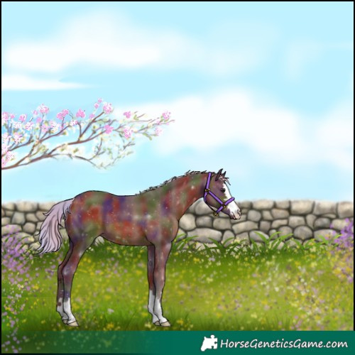Horse Color:Nacre Silver Brown 